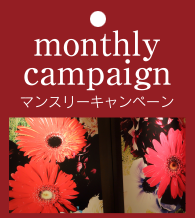 monthly campaign